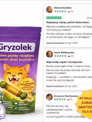 Gryzolek – Twój kot go pokocha